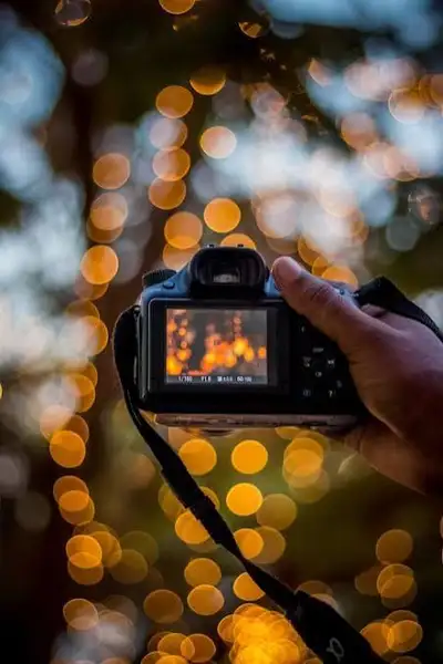 Photographer Looking to expand portfolio (TFP) (Barrie), View more