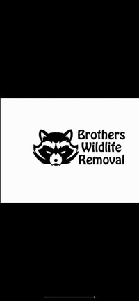 AFFORDABLE BIRD REMOVAL RACCOON REMOVAL SQUIRREL REMOVAL +