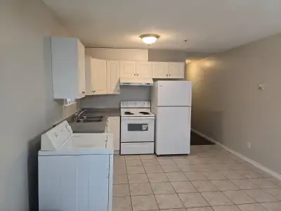 I Have a Newly Renovated Luxury 2 Bedroom / 1 washroom SUITE in East Vancouver, near East 38th Ave a...
