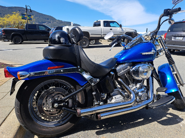 2004harley softail 1450ccs 36kms 604-724-7367  $8000 in Street, Cruisers & Choppers in Hope / Kent - Image 2