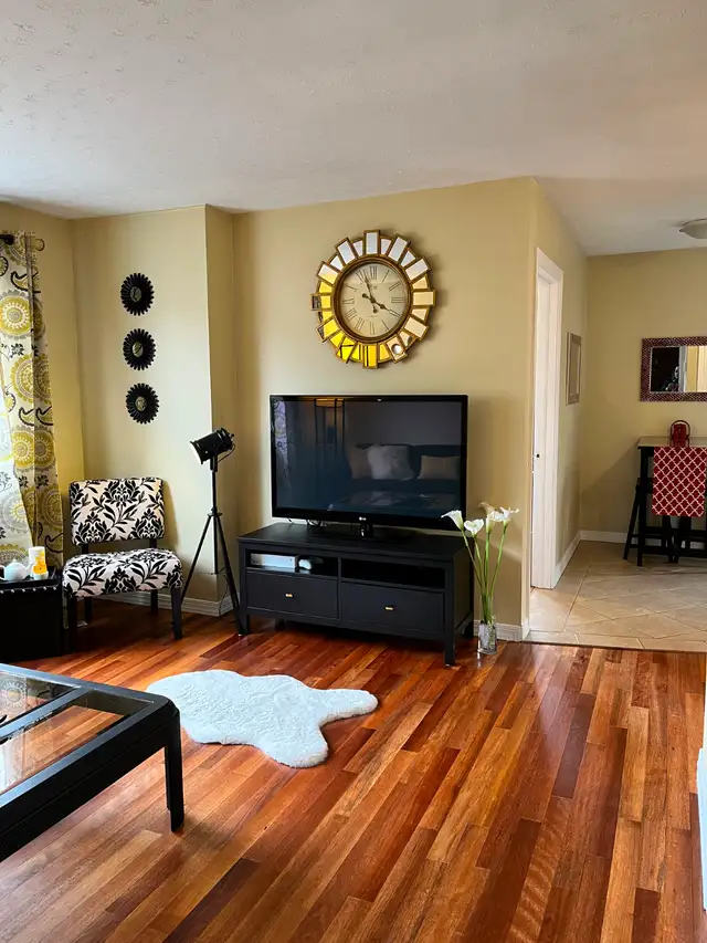 Everything Heat Lights Internet Furnished Apt. Downtown Aug 1 !
