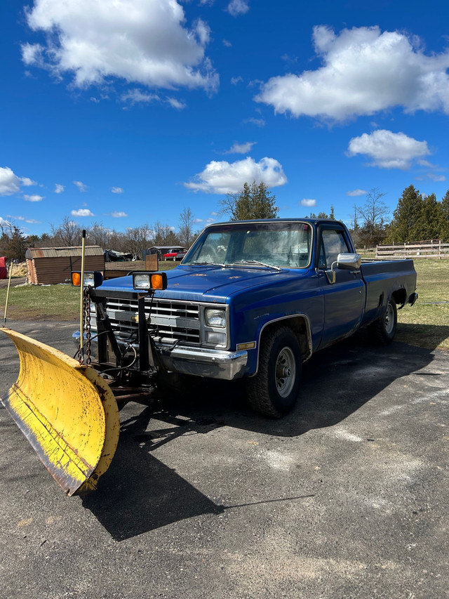 1981 Chevrolet 1500 regular cab in Cars & Trucks in Napanee