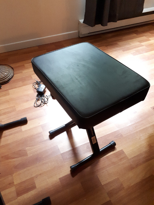 Casio CTK3200 Keyboard with Stand, Pedal, and Stool Pianos & Keyboards Fredericton Kijiji