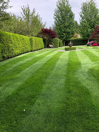 lawn cut, grass cut, landscape