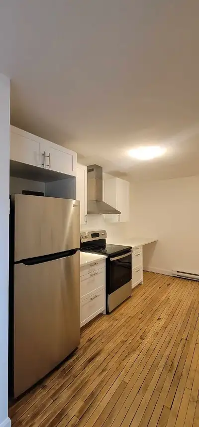 1 bedroom apartment