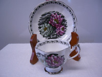 Rare Vintage Queen Anne “Water Lily” Cup & Saucer