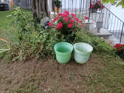 FREE large plant pots with drainage holes, View more