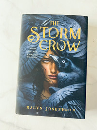 STORM CROW by Kalyn Josephson