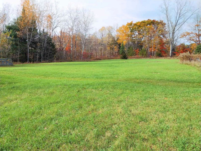 Beautiful building lot  in Land for Sale in Trenton - Image 2
