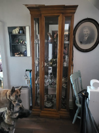 Display cabinet for sale