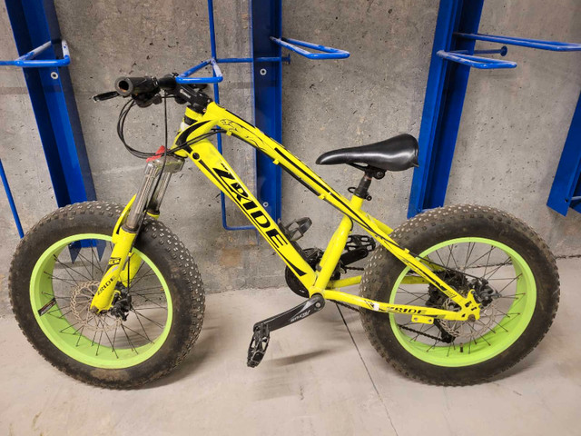 Fat bike in Kids in Markham / York Region