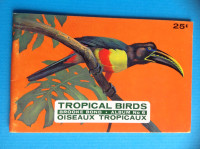 Vintage Brooke Bond (Red Rose) Empty Album ~ Tropical Birds