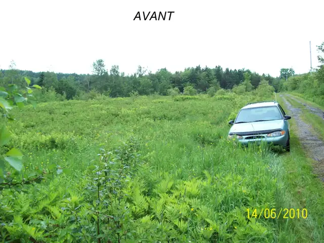 Débroussailleuse Tondeuse pour vtt in Lawnmowers & Leaf Blowers in Thetford Mines - Image 6