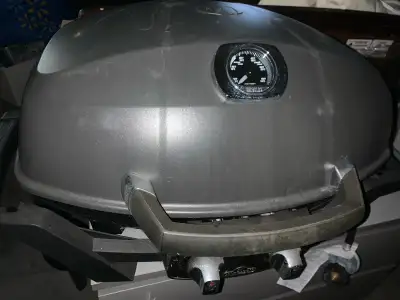 Small propane BBQ with stand and cover Asking $250