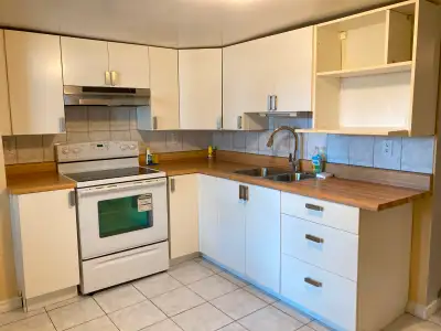 Walkout Basement Apartment Midtown