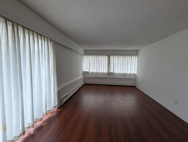Cozy One-Bedroom Apartment with Convenient Amenities in Long Term Rentals in Downtown-West End - Image 3