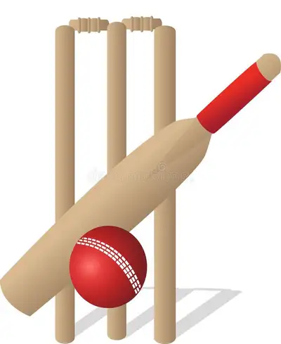 Seeking High Performance Cricket Player Season 2026, View more
