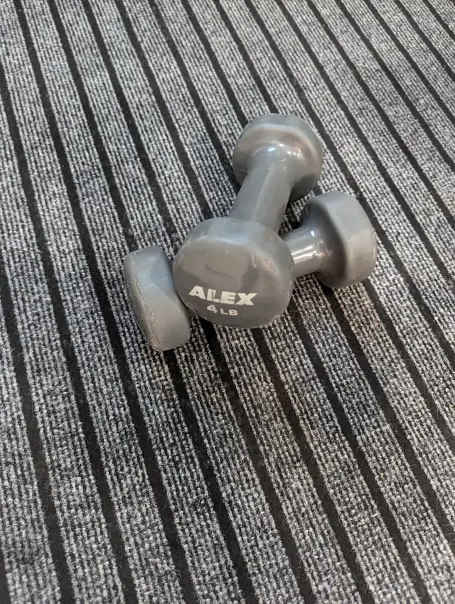 Dumbells 4LB Pair in Exercise Equipment in Winnipeg - Image 2