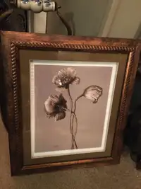Two appealing flower framed prints (sold)