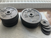 Welght plates / plaques de poids (79,2 lbs total)