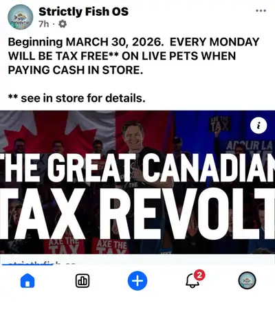 No Tax every Monday at strictly fish, View more