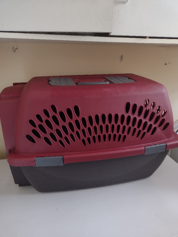 Small pet carrier in Accessories in Corner Brook - Image 3