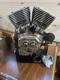 S&S T124 motor 