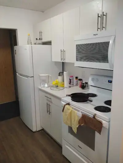 Looking for a girl to share lease of a 2bhk apartment with me. I am a u of m student. Looking for so...