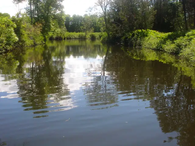 Trailer Rental !! includes site fees! in Travel Trailers & Campers in Kitchener / Waterloo - Image 8