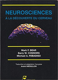 Neurosciences, À la découverte du cerveau 1ère éd Bear, Connors