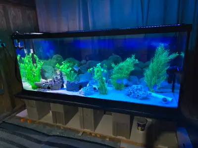 aquarium 150 gallons NEUF, View more
