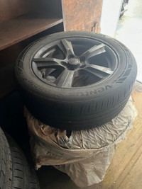 Mustang tires and rims 