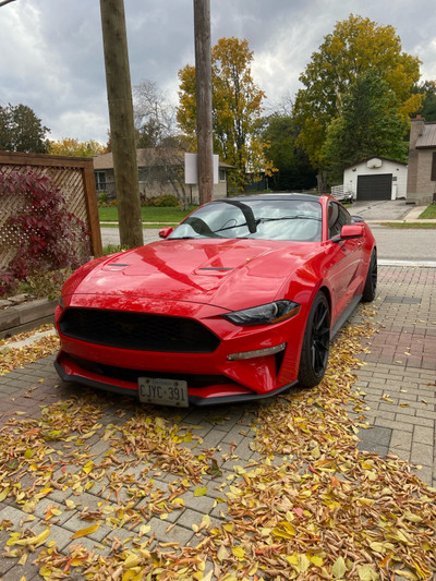 2019 Ford Mustang Ecoboost Manual Upgrades