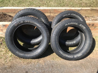 20” Toyo Wild Country tire