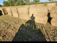 2023 2nd cut Hay for sale