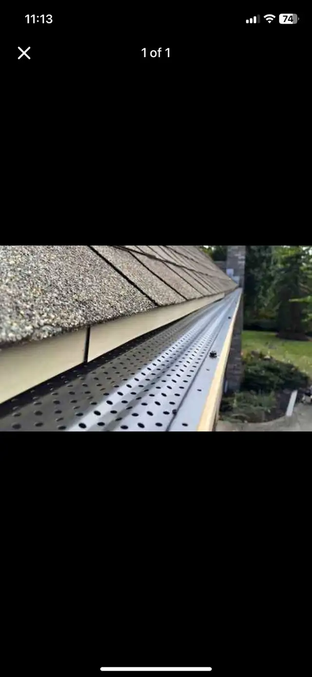 Quality lawn care without the big business price in Lawn, Tree Maintenance & Eavestrough in Cambridge - Image 11