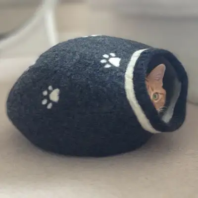 Wool Felted Cat Caves $75 each Various unique designs available Hand sewn and felted in Calgary from...