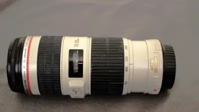 Superb condition. filter thread had a dent. nothing related with stunning photo taking ability. come...