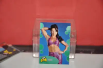 2001 WWF The Ultimate Diva Collection Fleer # 31 Ivory The Road, View more