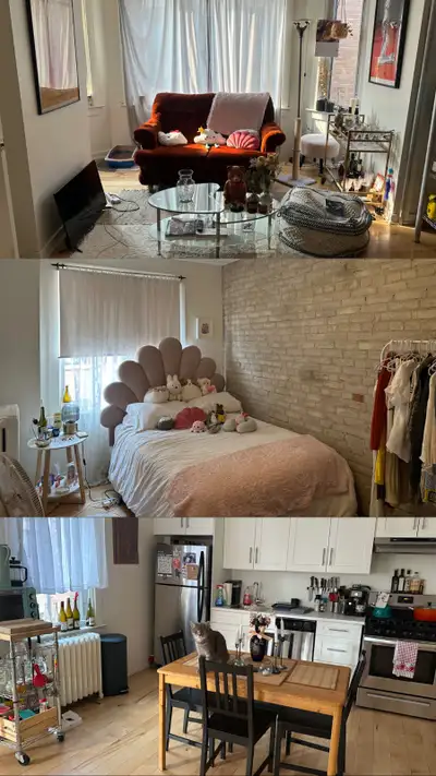 ISO roommate in 2 bedroom apartment in Little Portugal