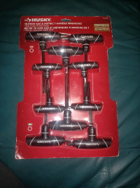 10 Piece T-handle set SAE and Netric