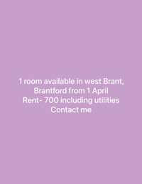 One room available 