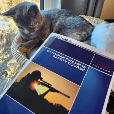 Pal Course and RPAL course, View more