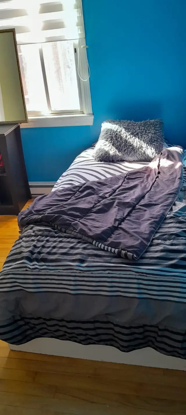 Chambre en colocation à louer in Room Rentals & Roommates in Longueuil / South Shore - Image 5