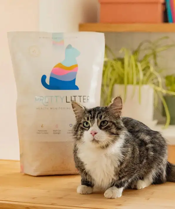 pretty litter bags 