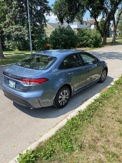 Wanted Toyota Corolla Hybrid 