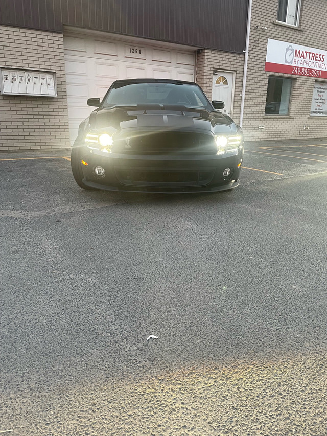 2014 Shelby GT500 in Cars & Trucks in Sudbury - Image 2