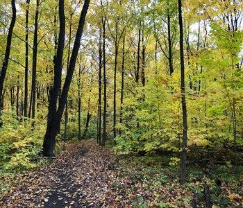 Terrain a vendre de 16,000 pieds2 au Lac St Charles — photo 1