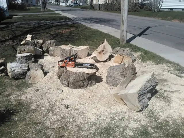 Handyman Services; Trees; Fences; Decks; Lawns; Driveways in Lawn, Tree Maintenance & Eavestrough in Summerside - Image 6