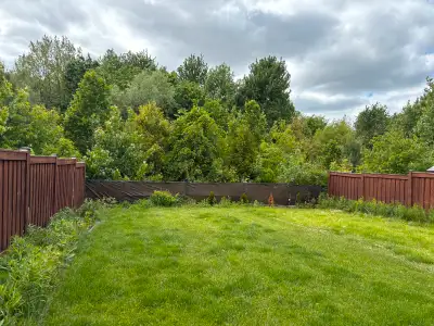 2 Bedrooms Walkout, Ravine and legal basement for Rent